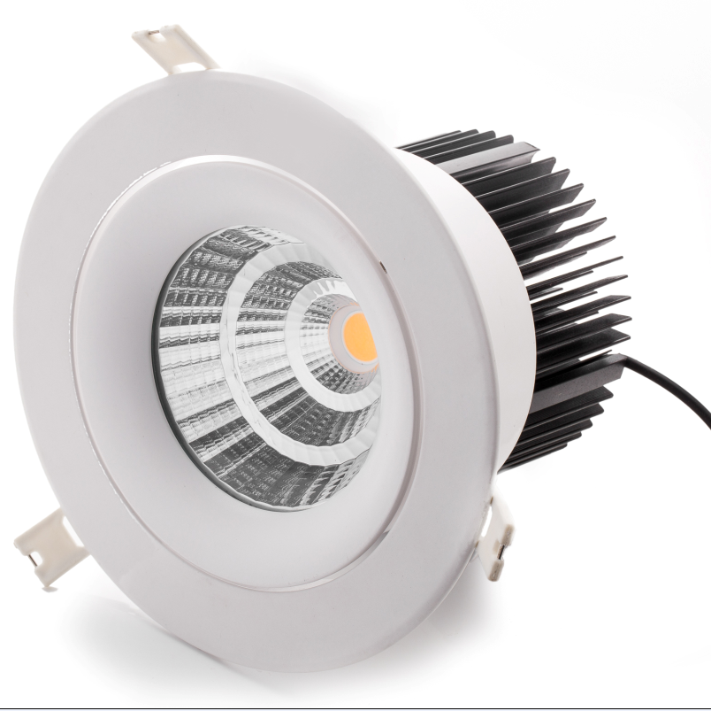 15W Orientable LED Downlight
