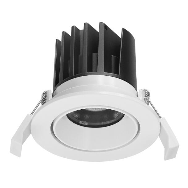 10W Orientable LED Downlight